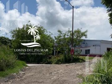 TERRENOS CAMPESTRES EN TAMPICO ALTO, CON 20% DE ENGANCHE Y 48 MENSUALIDADES PARA PAGAR