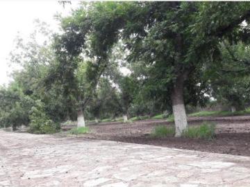 TERRENOS CAMPESTRES EN VENTA EN GOMEZ PALACIO DGO