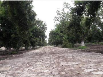 TERRENOS CAMPESTRES EN VENTA EN GOMEZ PALACIO DGO