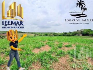 Terrenos Campestres en Venta en Tampico Alto, Ver desde $450,000