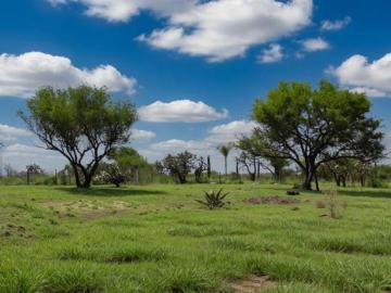 Terrenos campestres en zona de El Salto de los Salado, 928m2 desde $1,100,000