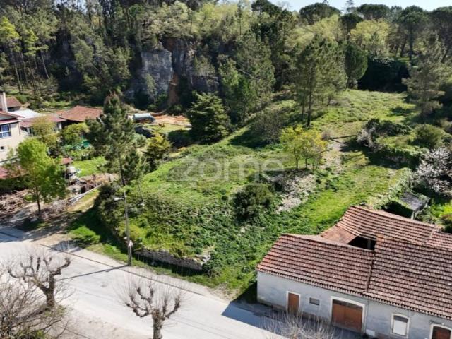 Terrenos Cantanhede Cantanhede DS100947980