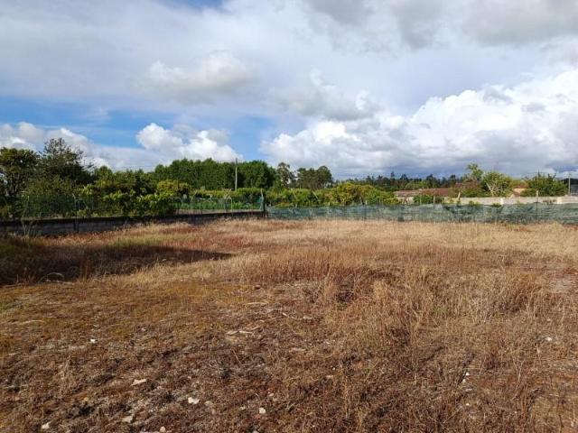 Terrenos Cantanhede Cantanhede DS102289803