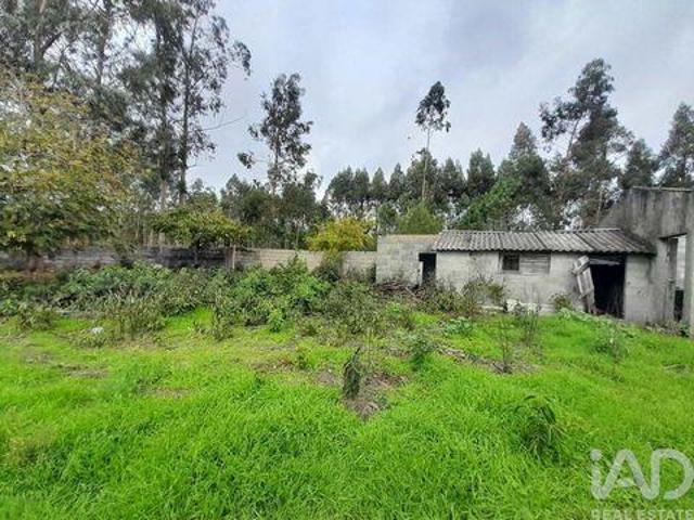 Terrenos Cantanhede Coimbra DS96891277