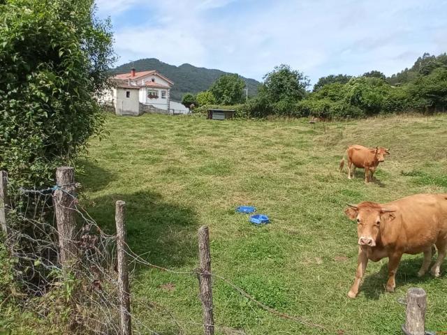 Terrenos Cantabria Cantabria LS92943792