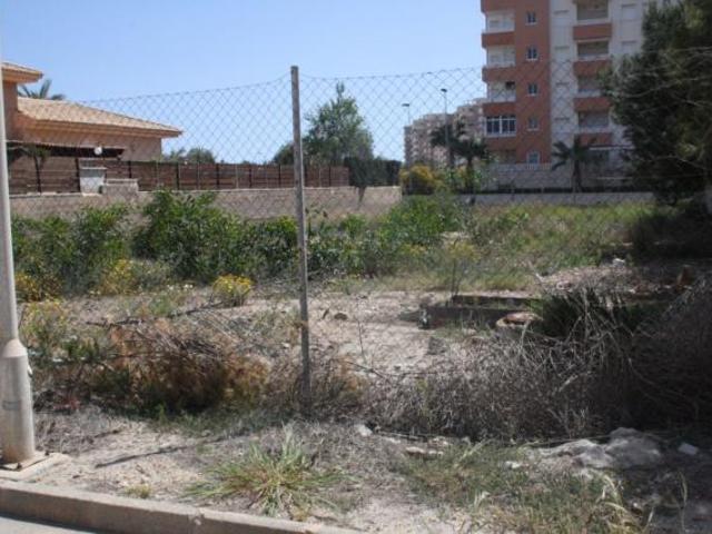Terrenos Canales De Veneziola Murcia LS81641658