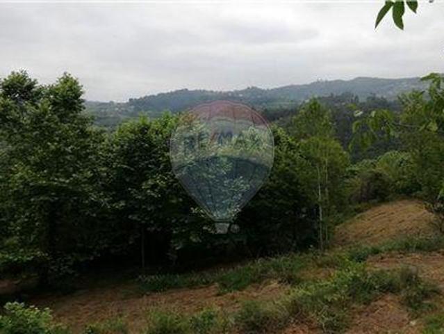 Terrenos Cabeceiras De Basto Braga DLS100020345