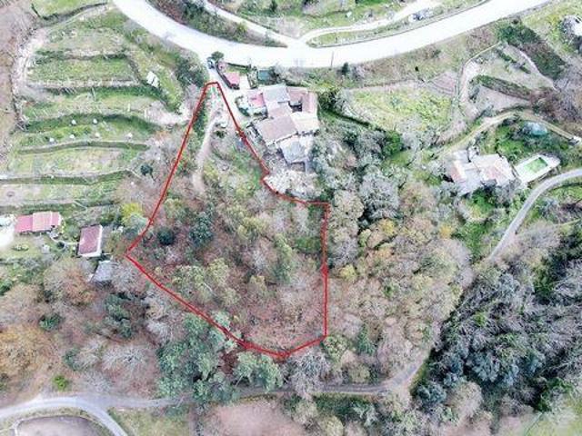 Terrenos Cabeceiras De Basto Braga DLS100020384