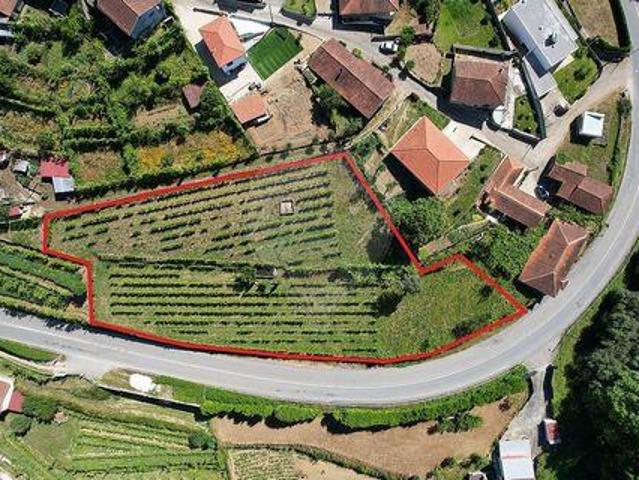 Terrenos Cabeceiras De Basto Braga DLS100021207