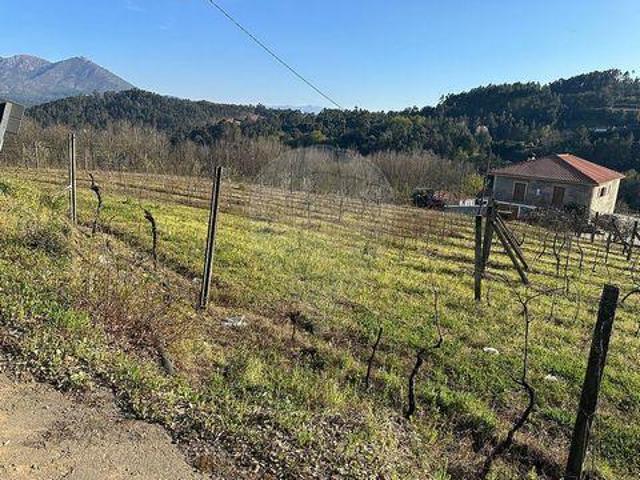 Terrenos Cabeceiras De Basto Braga DLS101797295