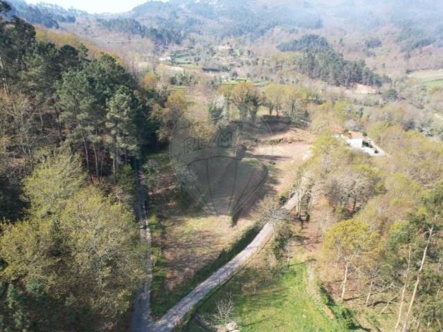 Terrenos Cabeceiras de Basto Cabeceiras de Basto DS90716821