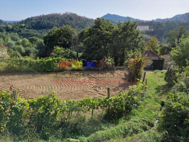 Terrenos Cabeceiras de Basto Cabeceiras de Basto DS100935074