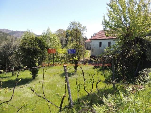 Terrenos Cabeceiras de Basto Cabeceiras de Basto DS100963241