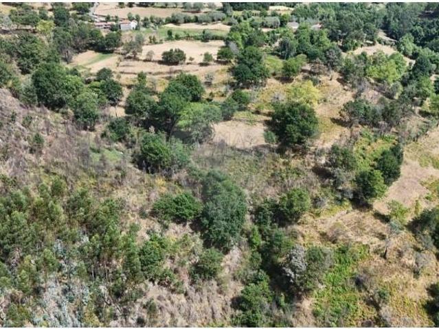 Terrenos Cabeceiras de Basto Cabeceiras de Basto DS102560082