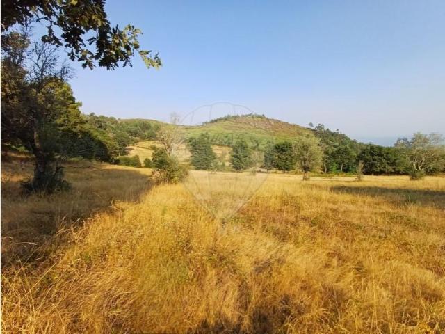 Terrenos Cabeceiras de Basto Cabeceiras de Basto DS102560135