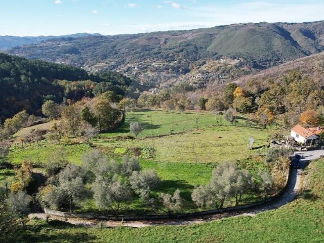 Terrenos Cabeceiras de Basto Cabeceiras de Basto DS102921868