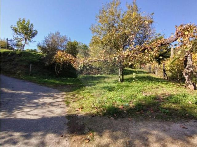 Terrenos Cabeceiras de Basto Cabeceiras de Basto DS102926125