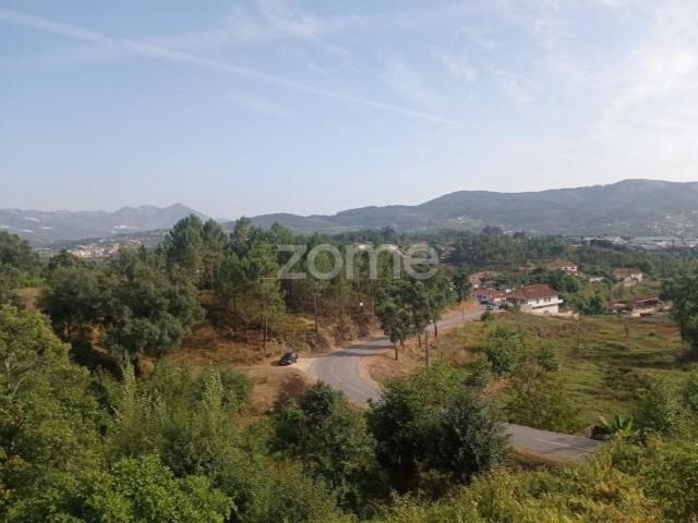 Terrenos Cabeceiras de Basto Cabeceiras de Basto DS102038102