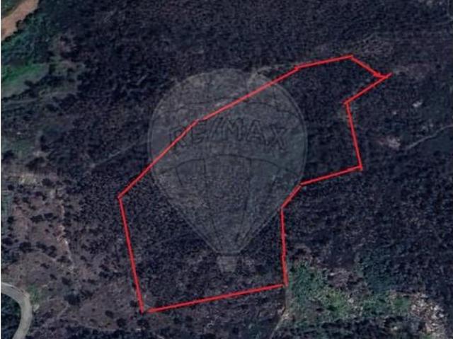 Terrenos Cabeceiras de Basto Cabeceiras de Basto DS102379006