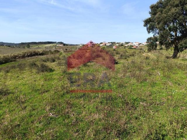 Terrenos Cadaval Cadaval DLS99566625