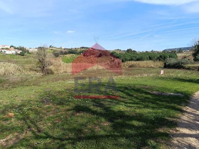 Terrenos Cadaval Cadaval DLS99566647