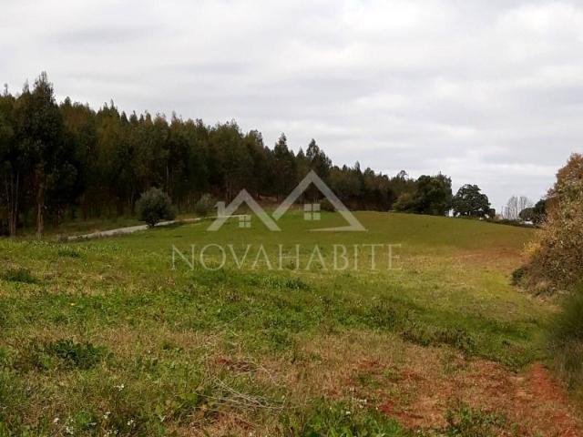 Terrenos Cadaval Cadaval DLS99652734