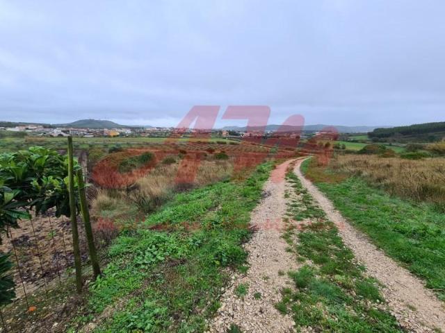 Terrenos Cadaval Cadaval DS95147454