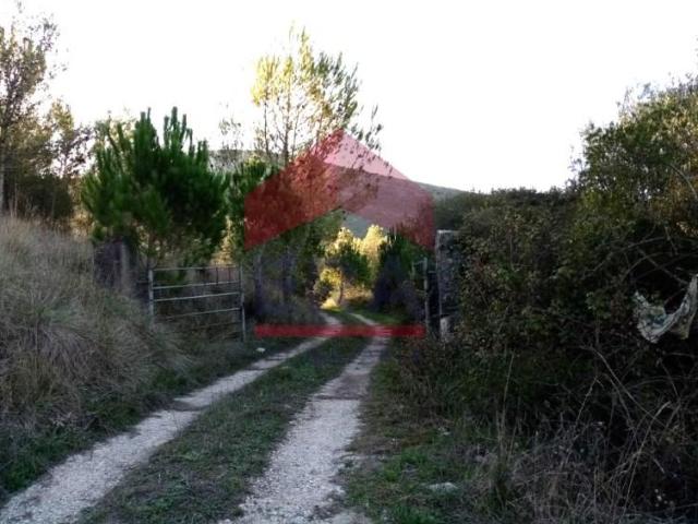 Terrenos Cadaval Cadaval DS100628247