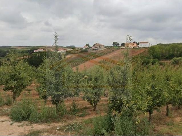 Terrenos Cadaval Cadaval DS102001763