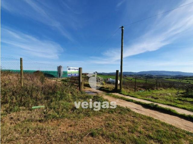 Terrenos Cadaval Cadaval DS102017166