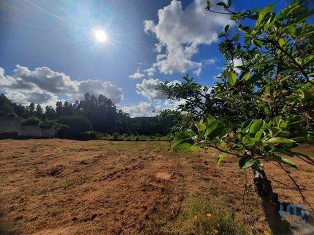 Terrenos Cadaval Lisboa 2550 470 DS82172079