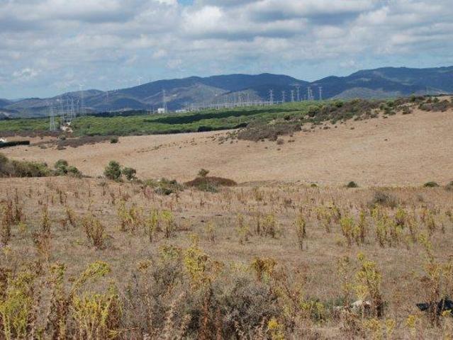 Terrenos Cadiz Cadiz 101399130