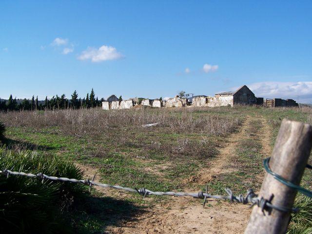 Terrenos Cadiz Cadiz 103061290