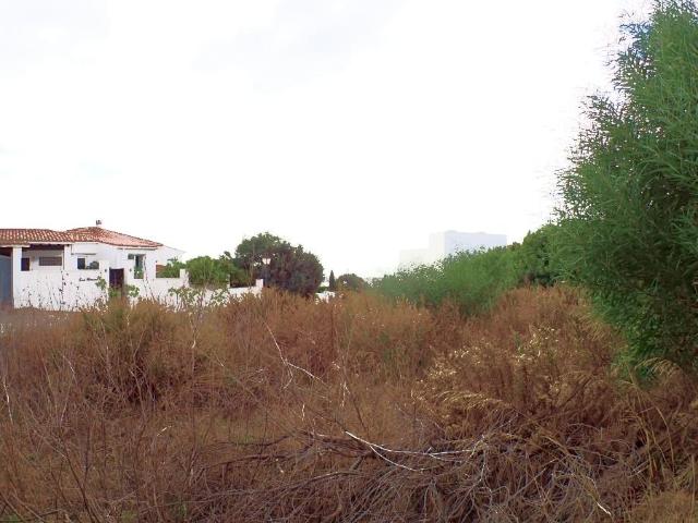 Terrenos Cadiz Cadiz 103396423