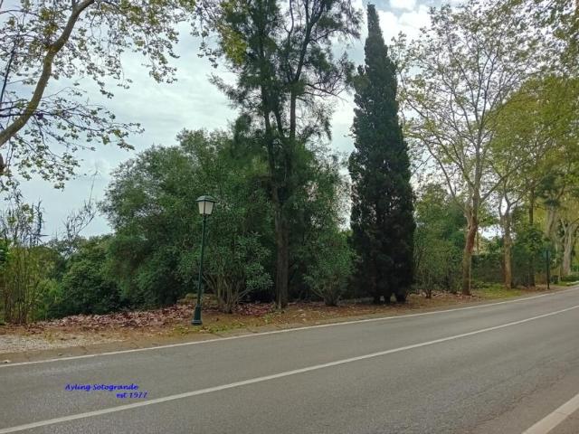 Terrenos Cadiz Cadiz 103396424