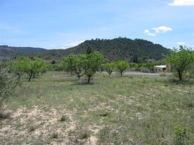 Terrenos Calasparra Murcia 100570192