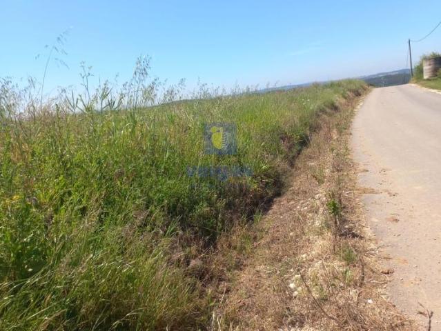 Terrenos Caldas da Rainha Caldas da Rainha DLS90976553