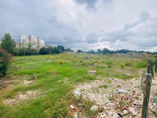 Terrenos Caldas da Rainha Caldas da Rainha DS89573113