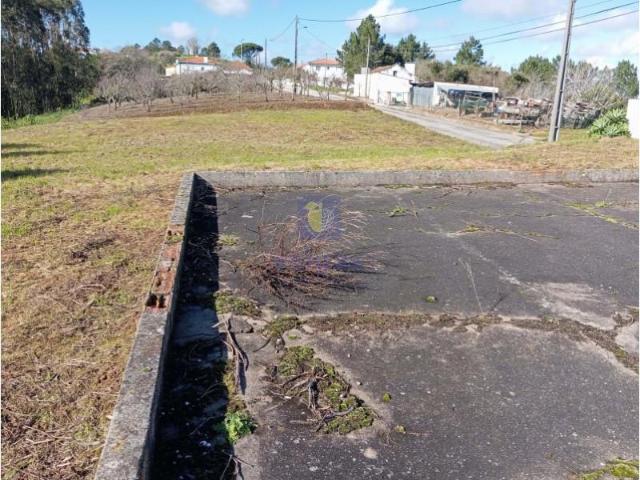 Terrenos Caldas da Rainha Caldas da Rainha DS90646654