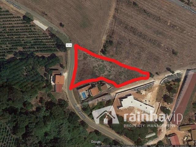 Terrenos Caldas da Rainha Caldas da Rainha DS95450597