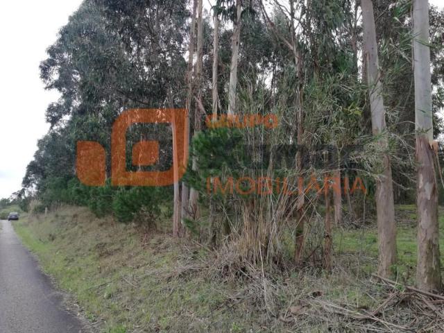 Terrenos Caldas da Rainha Caldas da Rainha DS101634952