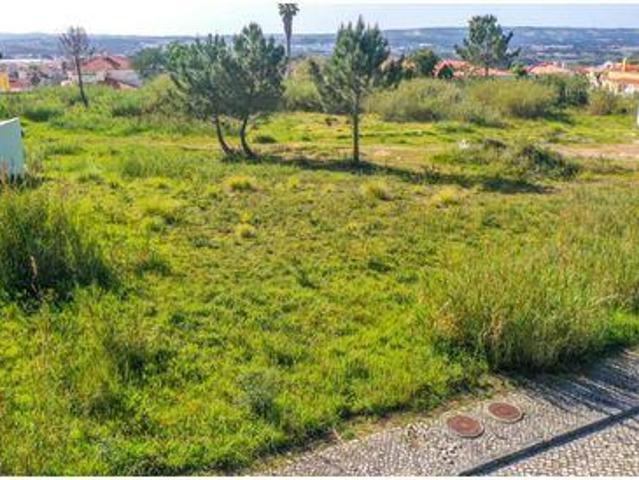 Terrenos Caldas da Rainha Leiria 2500 DS99888856
