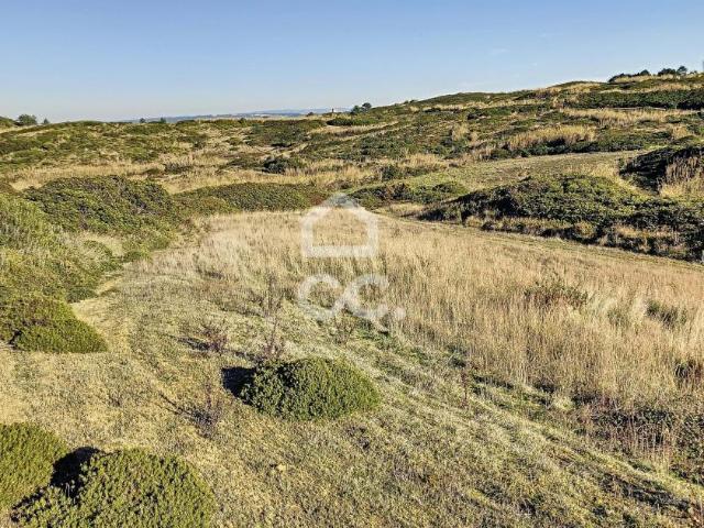 Terrenos Caldas da Rainha Leiria DLS46224931