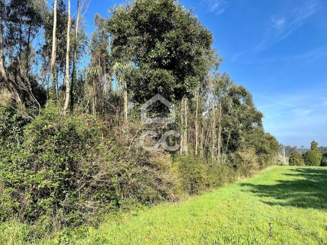 Terrenos Caldas da Rainha Leiria DLS88144846