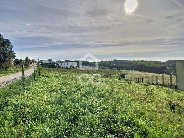 Terrenos Caldas da Rainha Leiria DLS101641464