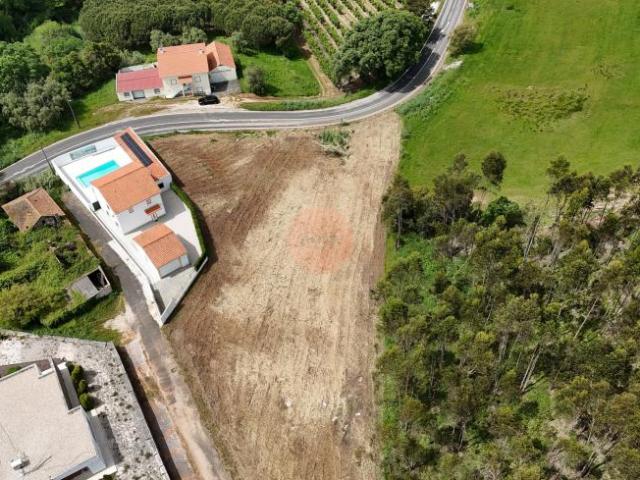 Terrenos Caldas da Rainha Leiria DS101543276