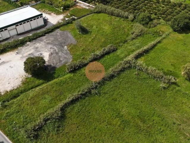 Terrenos Caldas da Rainha Leiria DS101767628