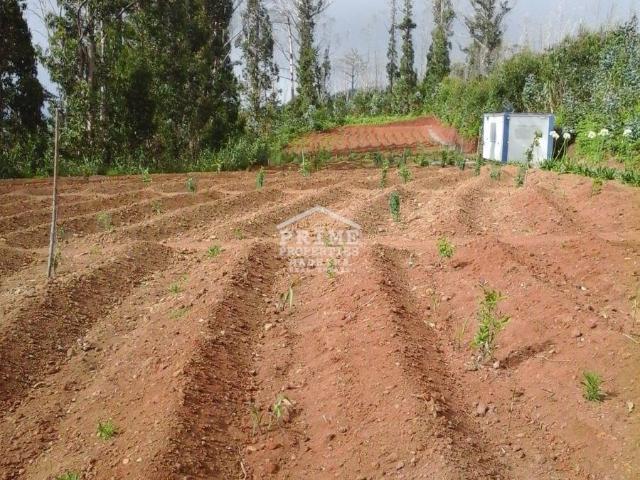 Terrenos Calheta Ilha da Madeira DLS49412843