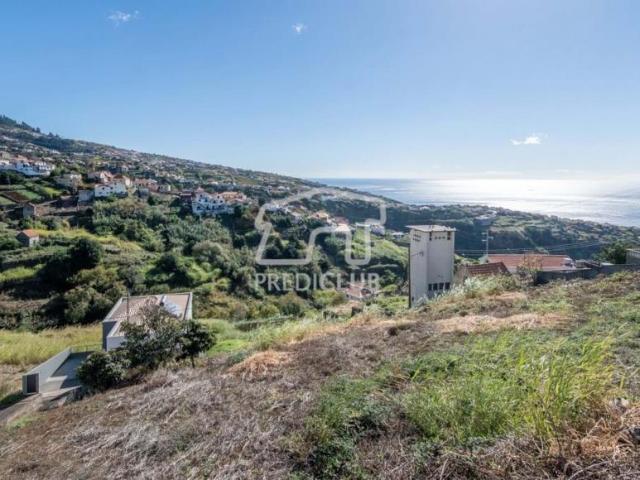 Terrenos Calheta Ilha da Madeira DLS86681097