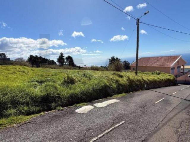 Terrenos Calheta Ilha da Madeira DLS89095500
